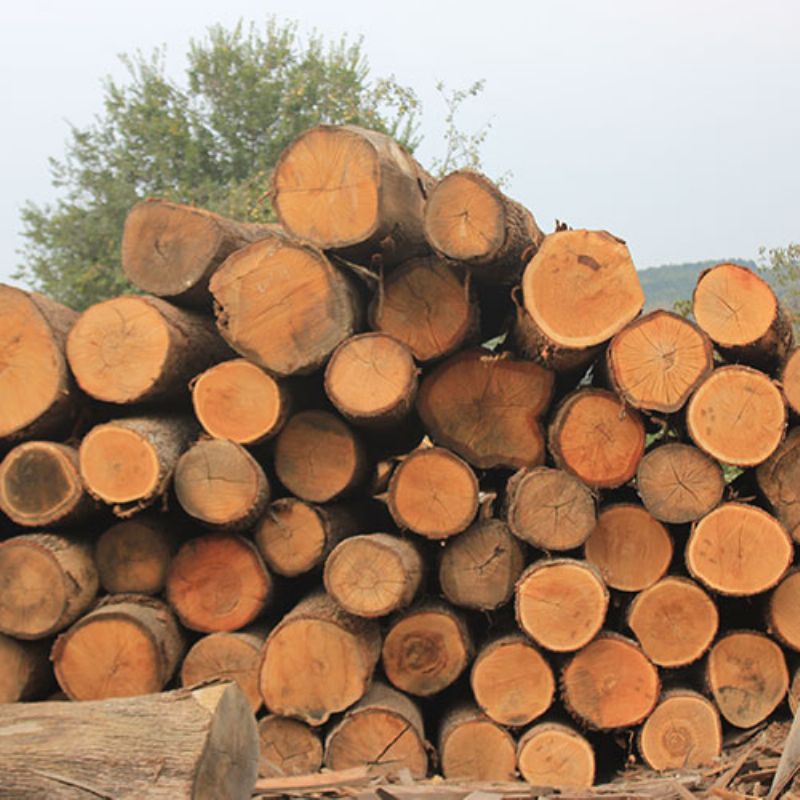 Mercanlar Wood