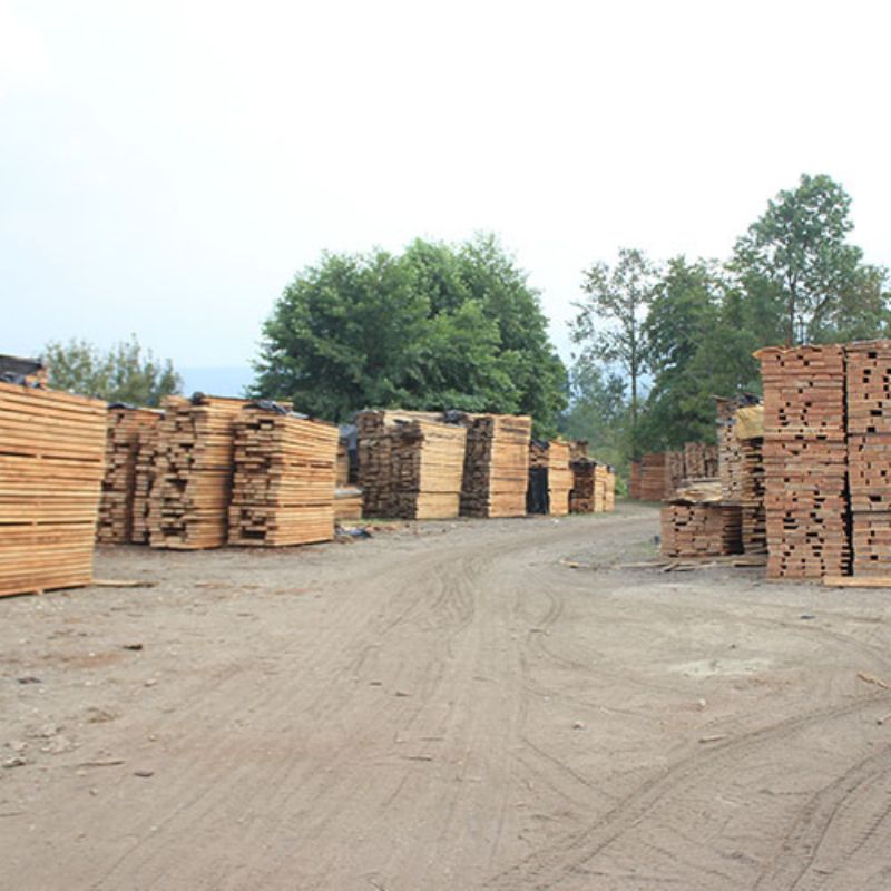 Mercanlar Wood