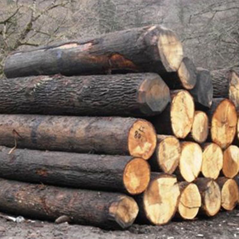 Mercanlar Wood