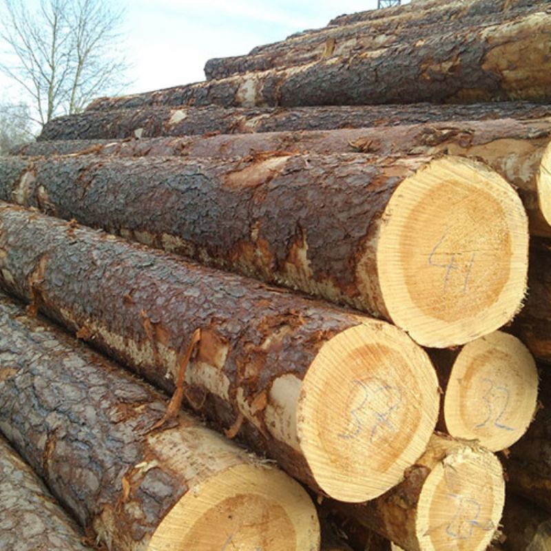 Mercanlar Wood