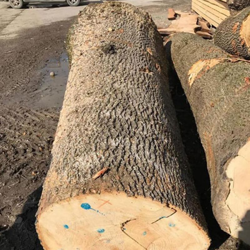 Mercanlar Wood