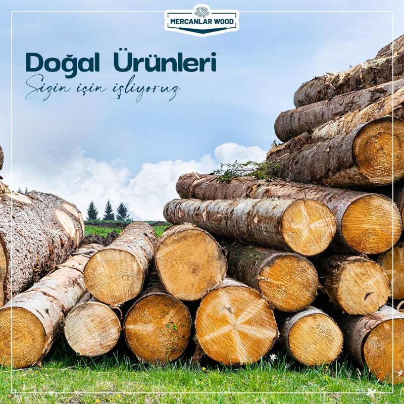 Mercanlar Wood