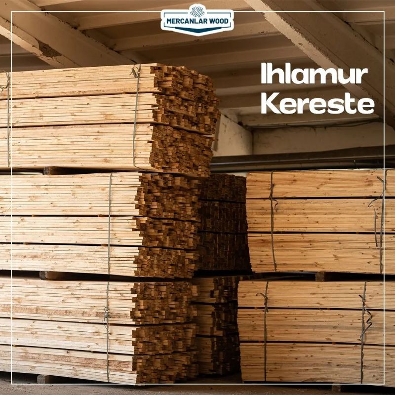 Mercanlar Wood